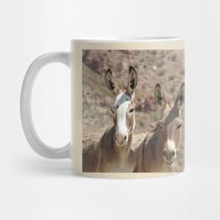 Wild Burros, donkeys, wildlife, Arizona Babes Mug